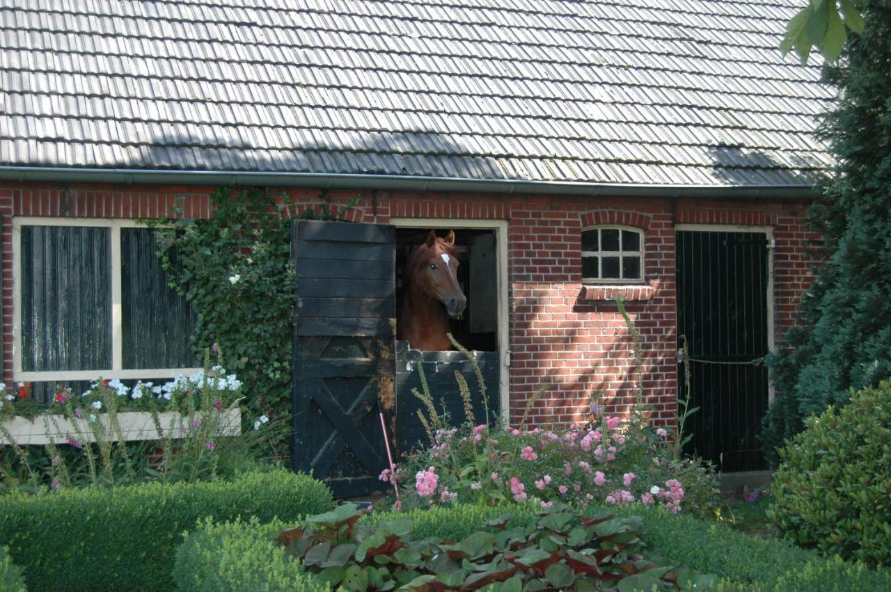 Erve Het Roolvink Boerderij Appartementen 40-50 M2 Enschede Eksteriør bilde