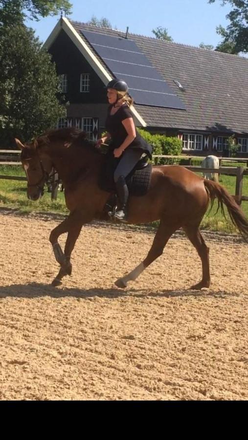 Erve Het Roolvink Boerderij Appartementen 40-50 M2 Enschede Eksteriør bilde