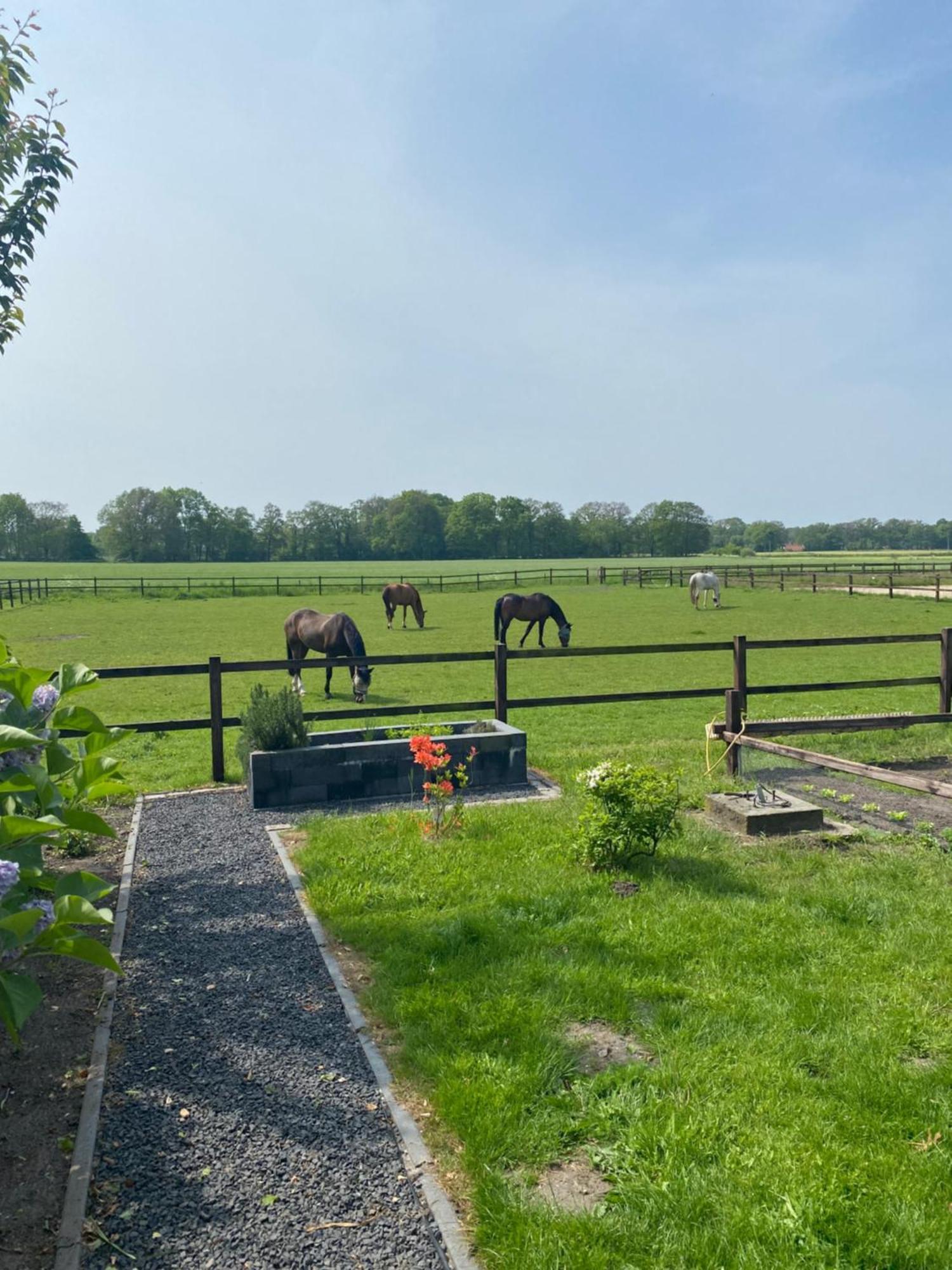 Erve Het Roolvink Boerderij Appartementen 40-50 M2 Enschede Eksteriør bilde