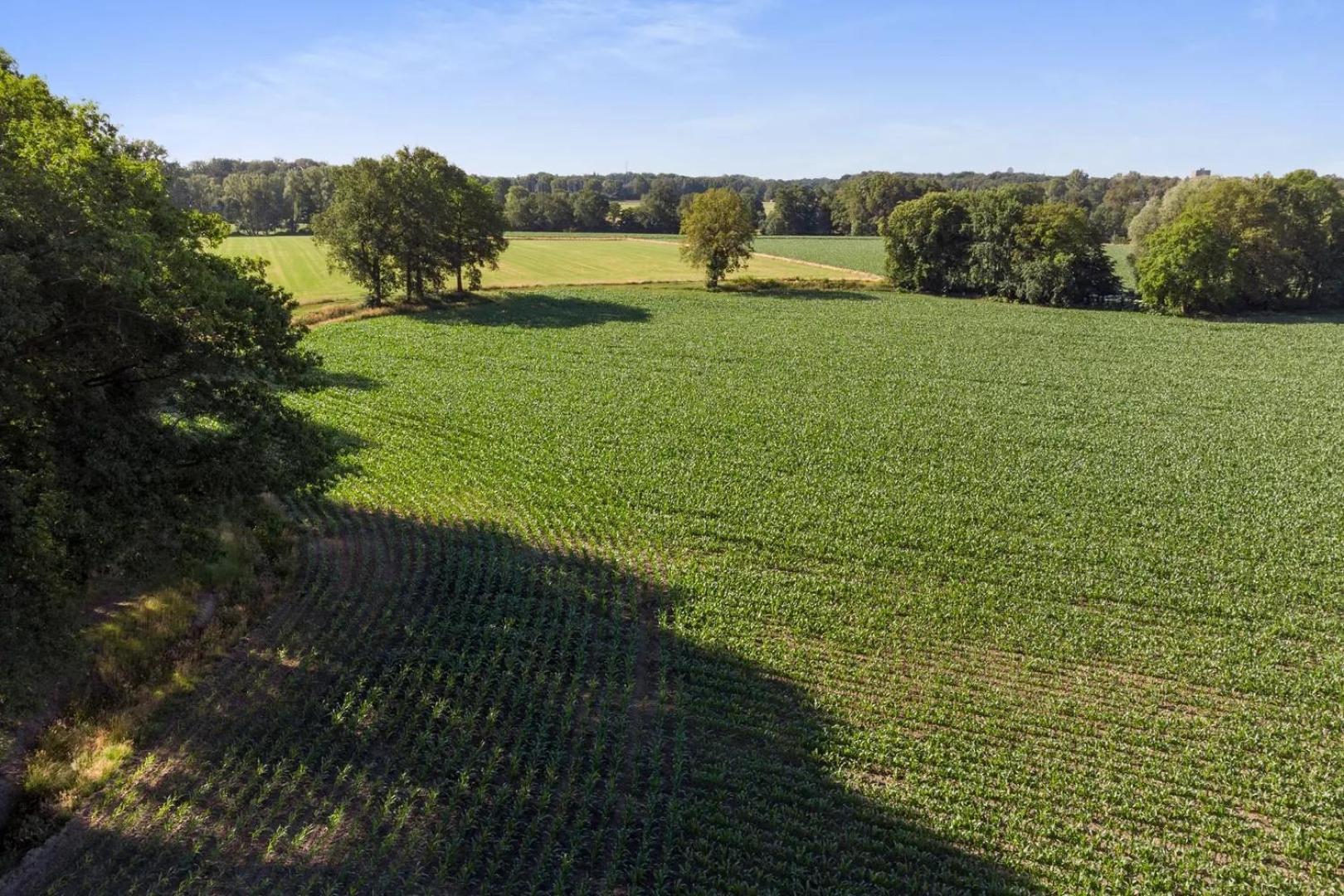 Erve Het Roolvink Boerderij Appartementen 40-50 M2 Enschede Eksteriør bilde